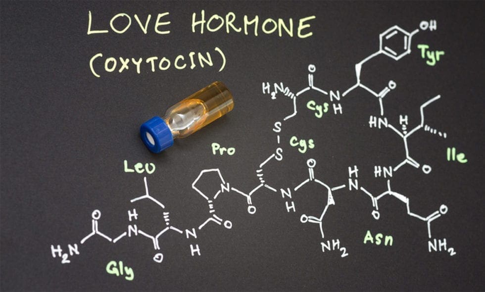 Best Oxytocin And The Power Of Non sexual Touch In Relationships  Learn more here 