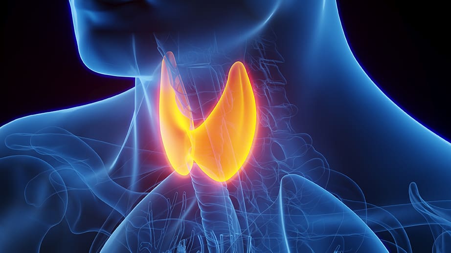 thyroid health